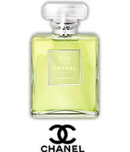 Chanel No. 19 Poudre